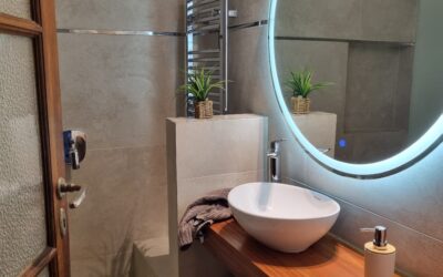 Aranguren baño